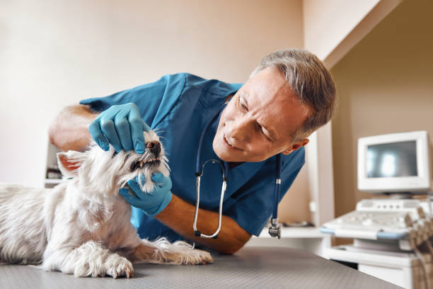 Best Emergency Tooth Extraction in Farmville, NC